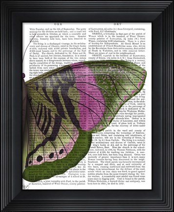 Framed Butterfly in Green and Pink b Print