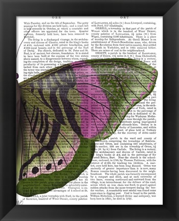 Framed Butterfly in Green and Pink b Print