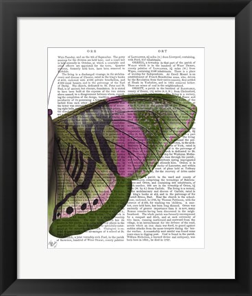 Framed Butterfly in Green and Pink b Print
