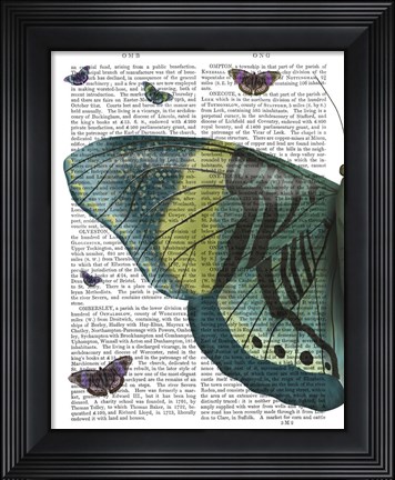Framed Butterfly in Turquoise and Yellow a Print