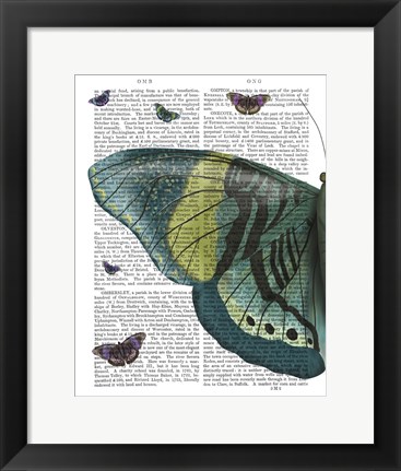 Framed Butterfly in Turquoise and Yellow a Print