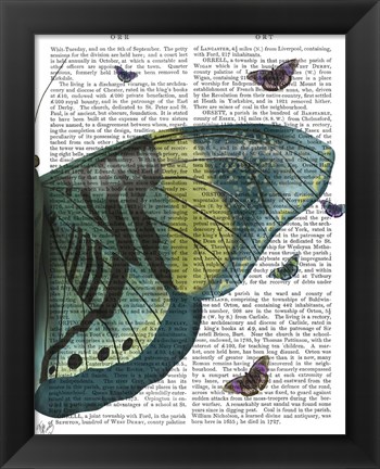 Framed Butterfly in Turquoise and Yellow b Print