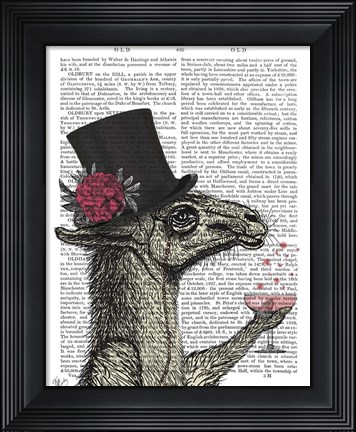 Framed Llama Lush 1 Print