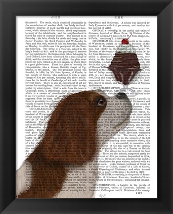 Framed Cavalier King Charles, Brown White, Ice Cream Print