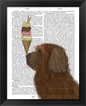 Framed Labradoodle, Brown, Ice Cream Print