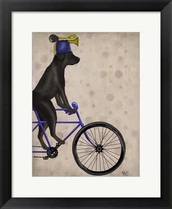 Framed Black Labrador on Bicycle Print