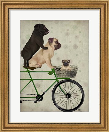 Framed Pugs on Bicycle Print