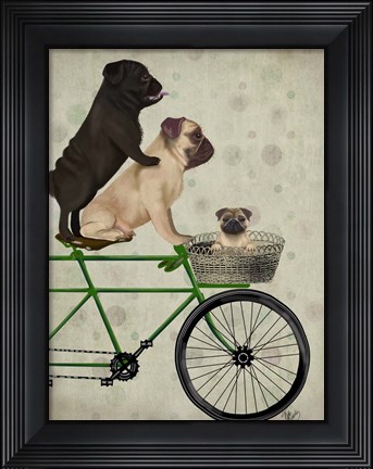Framed Pugs on Bicycle Print