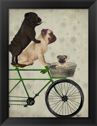 Framed Pugs on Bicycle Print