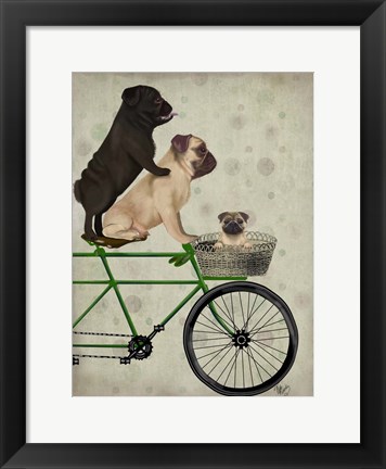 Framed Pugs on Bicycle Print