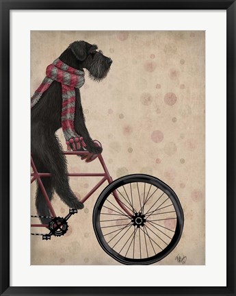 Framed Schnauzer on Bicycle, Black Print