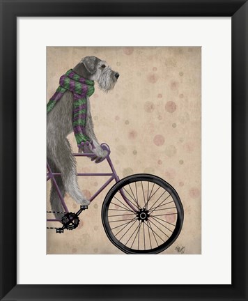 Framed Schnauzer on Bicycle, Grey Print