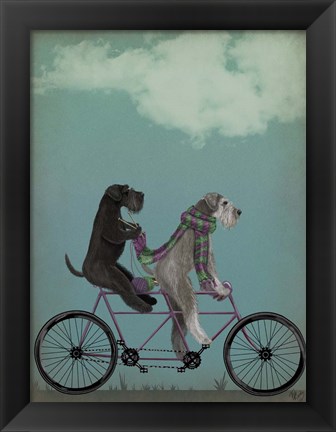 Framed Schnauzer Tandem Print