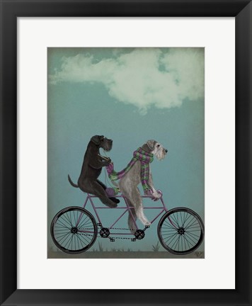 Framed Schnauzer Tandem Print