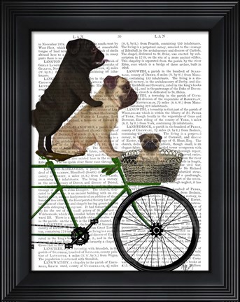 Framed Pugs on Bicycle Print