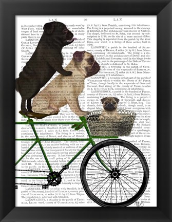 Framed Pugs on Bicycle Print