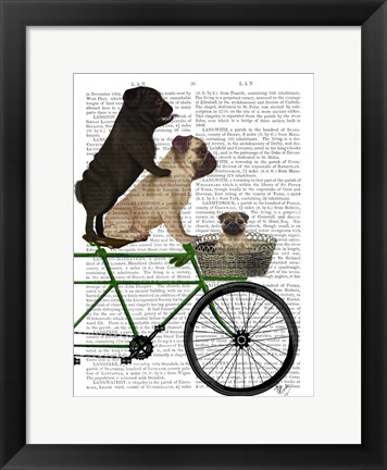 Framed Pugs on Bicycle Print