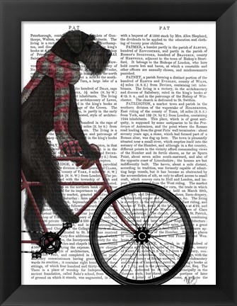 Framed Schnauzer on Bicycle, Black Print