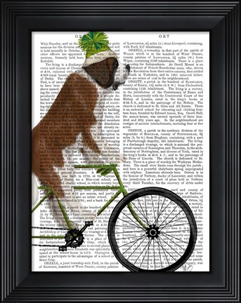 Framed St Bernard on Bicycle Print