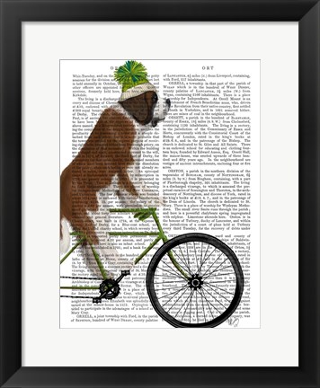 Framed St Bernard on Bicycle Print