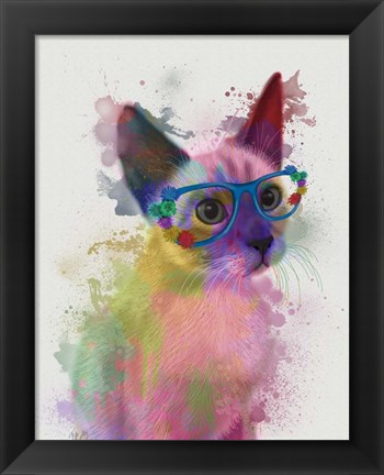 Framed Rainbow Splash Cat 2 Print