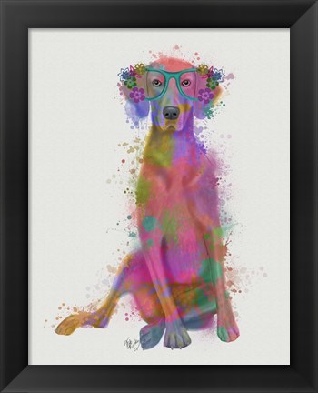 Framed Rainbow Splash Weimaraner, Full Print