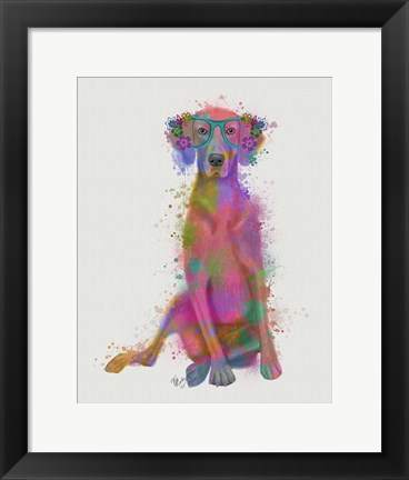 Framed Rainbow Splash Weimaraner, Full Print