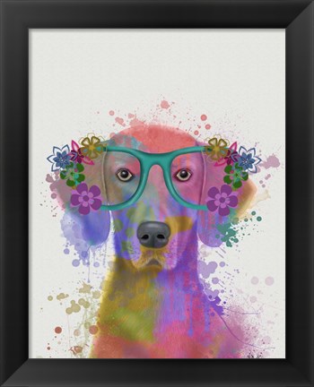 Framed Rainbow Splash Weimaraner, Portrait Print