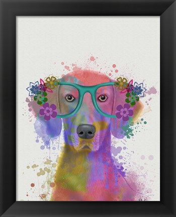 Framed Rainbow Splash Weimaraner, Portrait Print