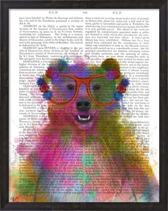 Framed Rainbow Splash Bear Print