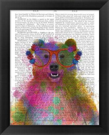 Framed Rainbow Splash Bear Print