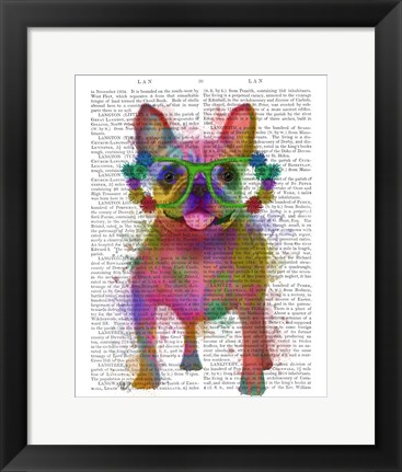 Framed Rainbow Splash French Bulldog, Full Print