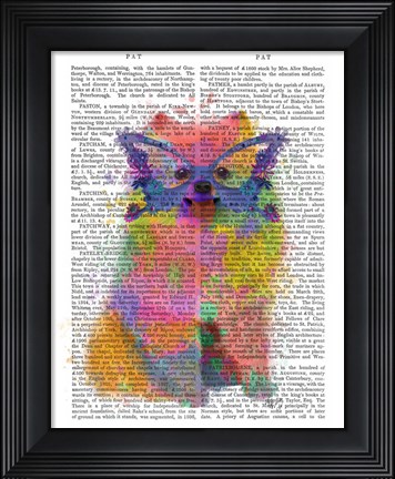 Framed Rainbow Splash Pomeranian Print