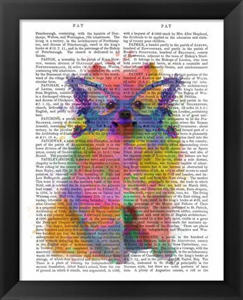 Framed Rainbow Splash Pomeranian Print