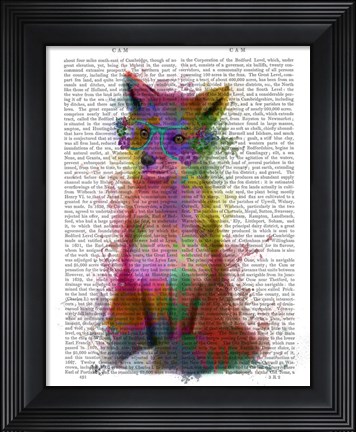 Framed Rainbow Splash Fox 1 Print