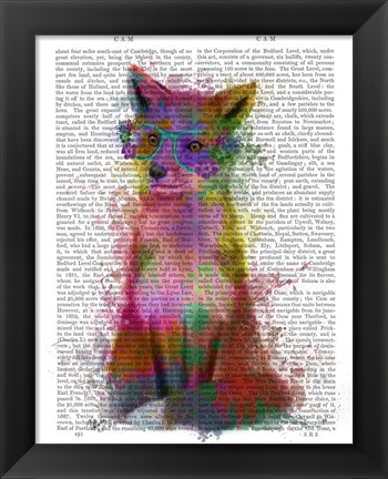 Framed Rainbow Splash Fox 1 Print