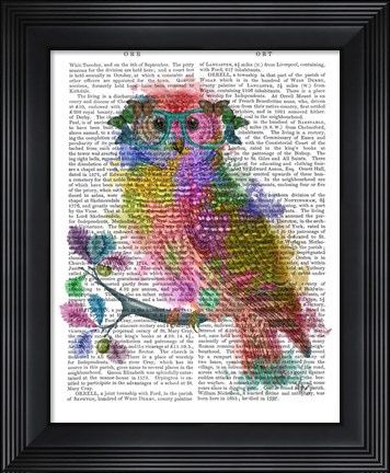 Framed Rainbow Splash Owl Print