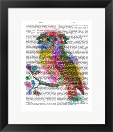 Framed Rainbow Splash Owl Print