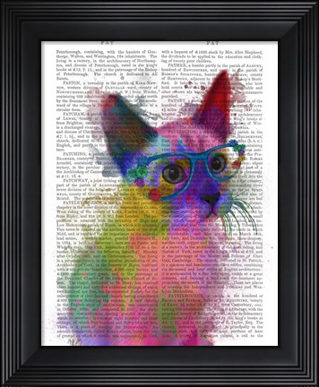 Framed Rainbow Splash Cat 2 Print