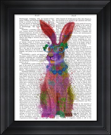 Framed Rainbow Splash Rabbit 2, Full Print