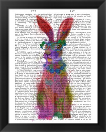 Framed Rainbow Splash Rabbit 2, Full Print