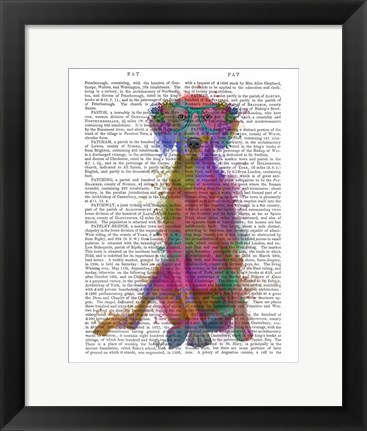 Framed Rainbow Splash Weimaraner, Full Print