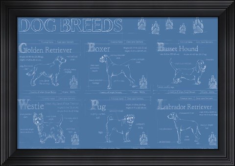 Framed Dog Breeds Infograph Print