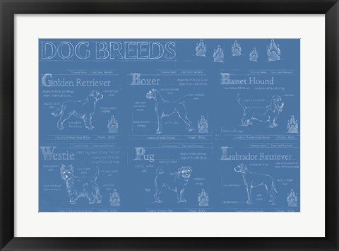 Framed Dog Breeds Infograph Print