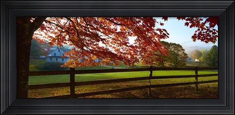 Framed Farm &amp; Country IX Print