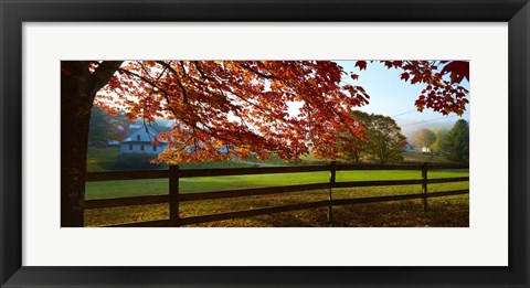 Framed Farm &amp; Country IX Print