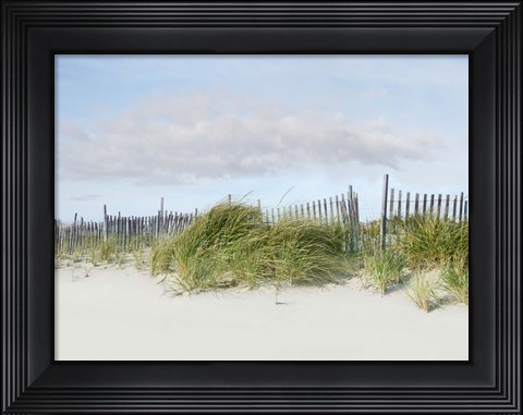 Framed Beachscape IV Print