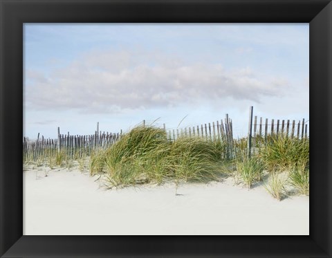 Framed Beachscape IV Print