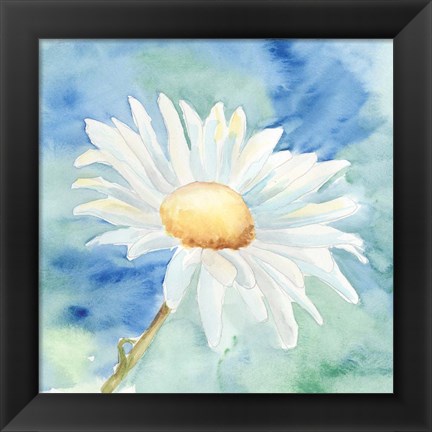 Framed Daisy Sunshine II Print