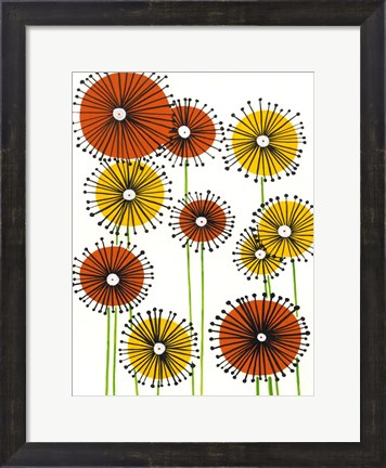 Framed Flower Wheels II Print